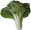 Bok choy